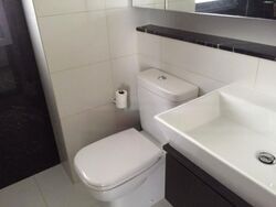 Palm Isles (D17), Condominium #548001291